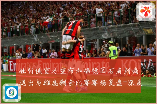 独行侠官方宣布加福德因右肩刺痛退出与雄鹿剩余比赛赛场复盘-深度解析